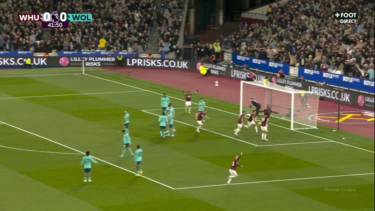 Wolves Actu France 🐺🇫🇷 tweet media