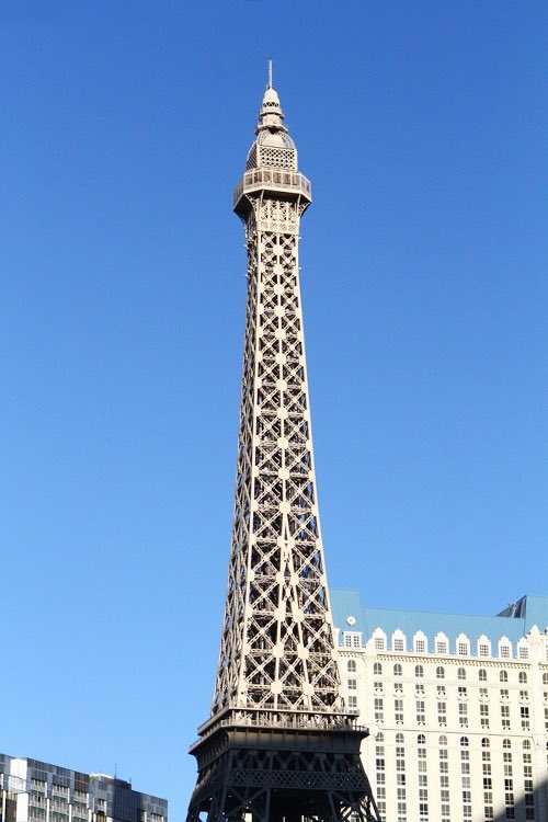 Vital Vegas tweet media