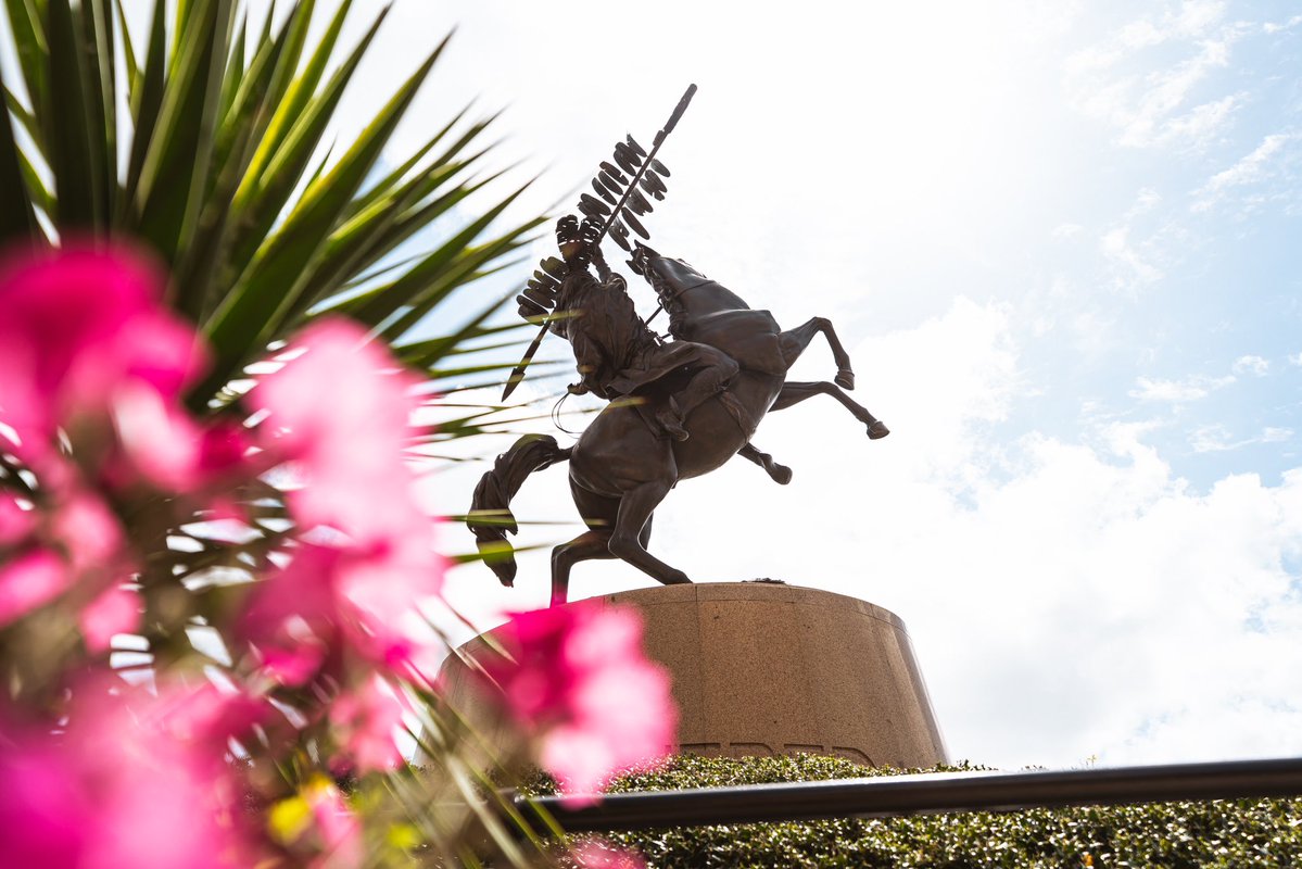 FSU Women's Basketball tweet media