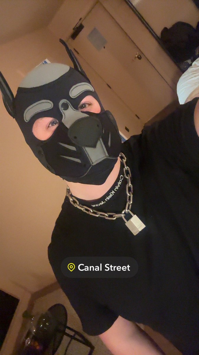 Pup Tiny tweet media