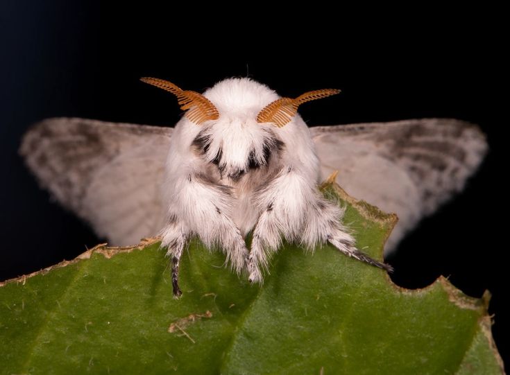 hawa ï๑ tweet media