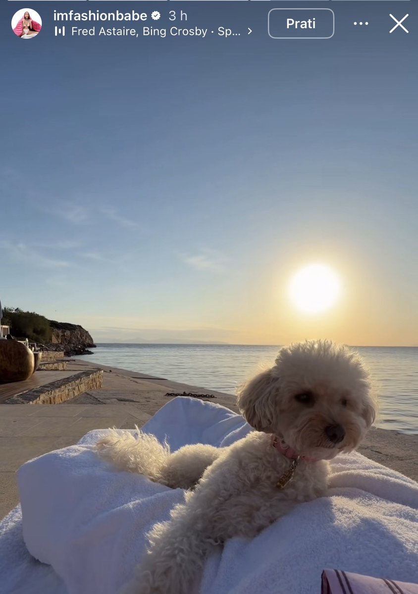 PropalaBlogerka's tweet image. Imam utisak da Knji vrlo provocira sa slikama iz Atine zbog priča koje kruže, preko pudle koju ističe jer svi znamo  da je “on” imao takvog psa kog je obozavao, pa do naglašavanja da su njih dve same u Four Seasons Astir Palace. #caosvima #emilijamilojević