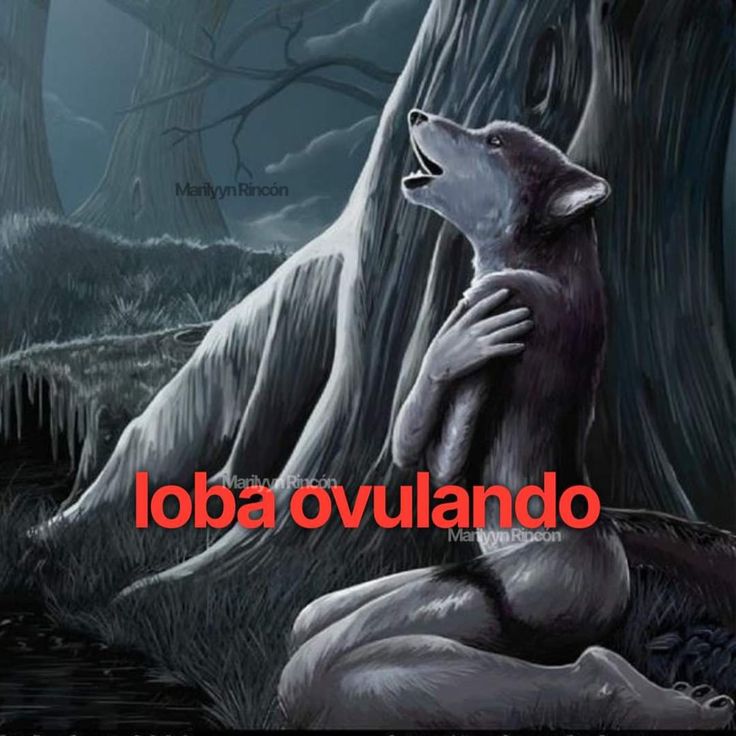 iwanttoeatyourpancreas tweet media