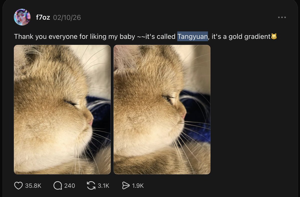 被骚扰的黑鬼 tweet media