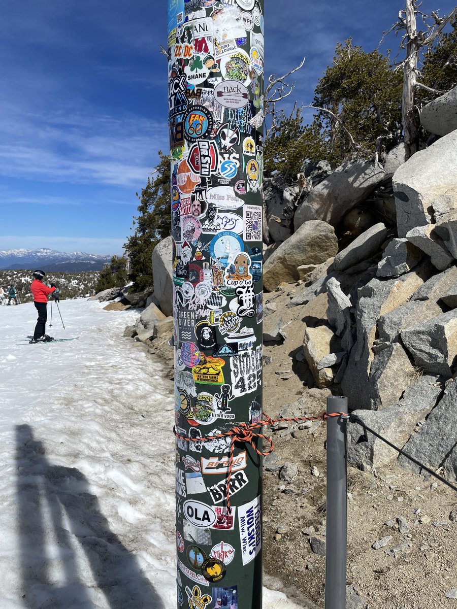 Serious Cat tweet media