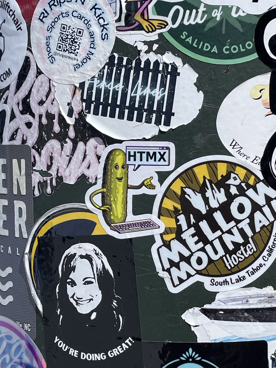 Serious Cat tweet media