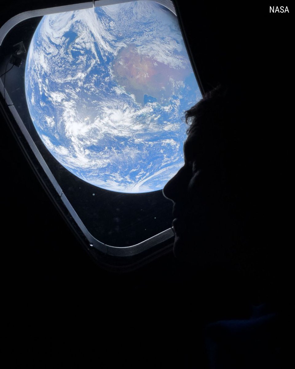 Fox News tweet media