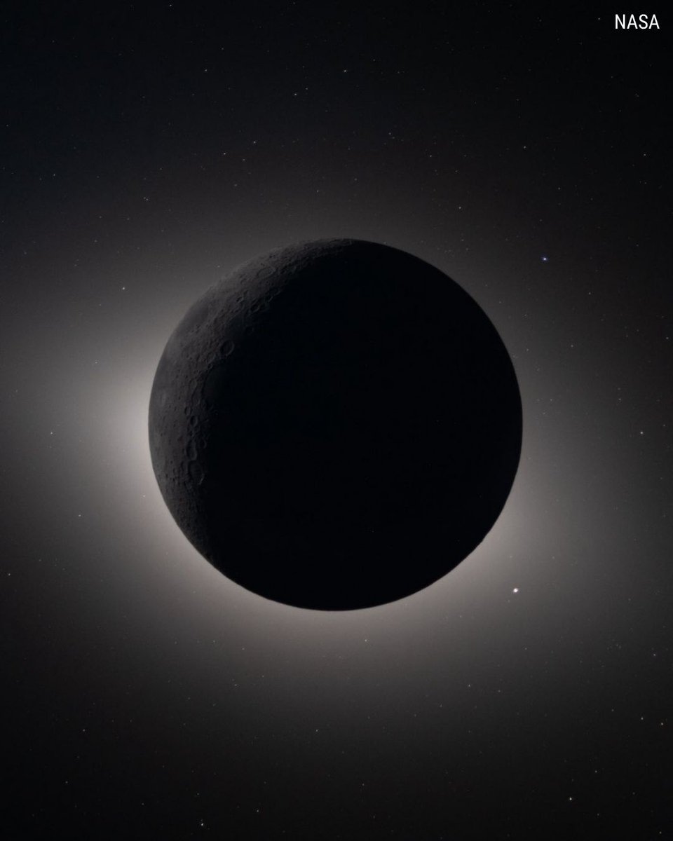 Fox News tweet media