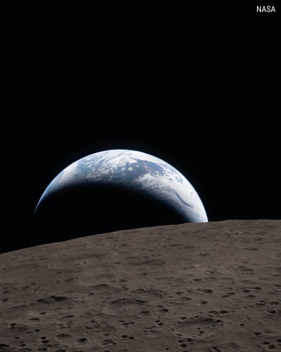 Fox News tweet media