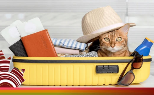 OTC.gc.ca tweet media