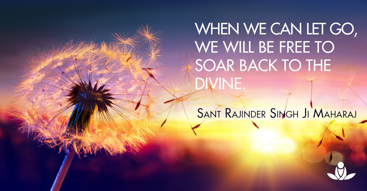 SOS Meditate tweet media