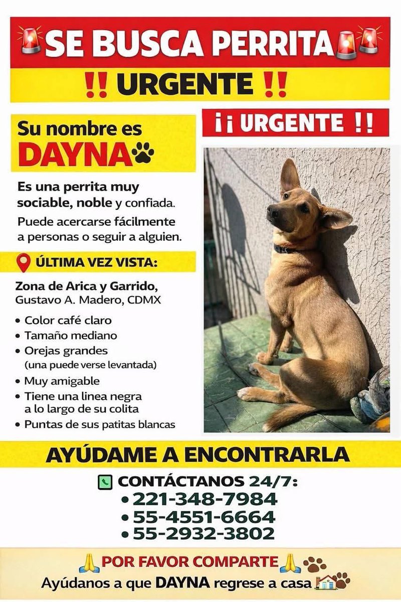 gabymolilari tweet media