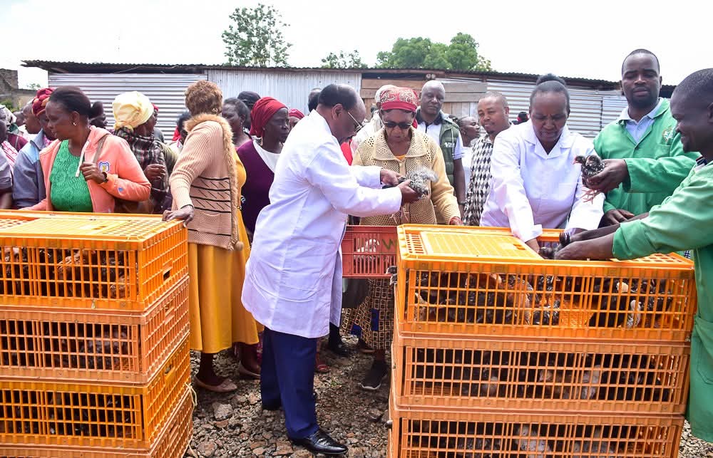 H.E. Kinaniri Waroe, Deputy Governor Nyeri tweet media