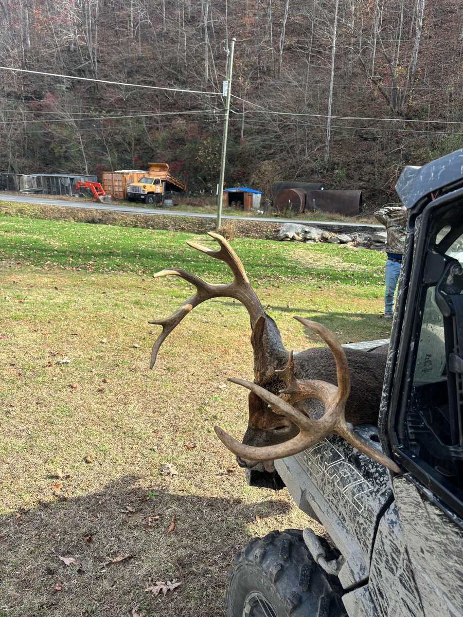 Booger🍊🇺🇸 tweet media