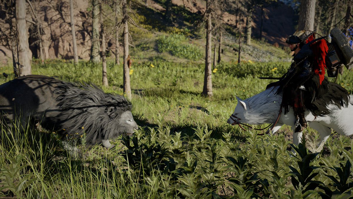 Paul Tassi tweet media