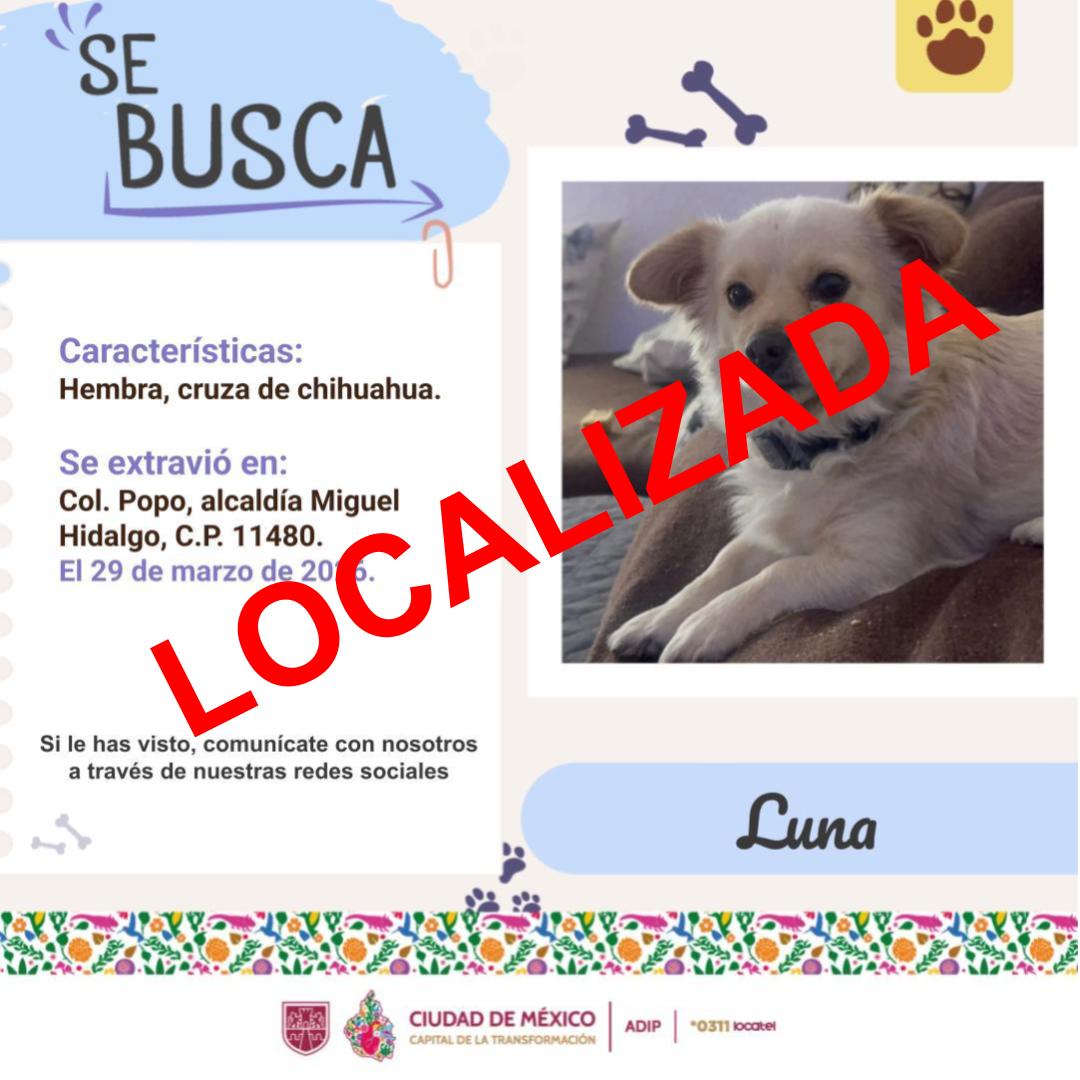 @locatel_mx tweet media