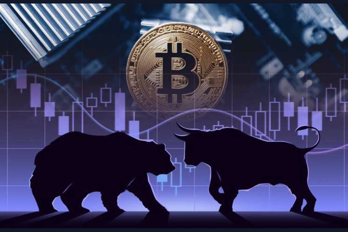 majed alazmi 🐋 BTC tweet media