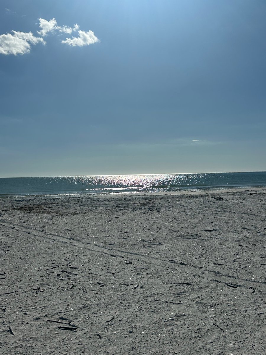 Indianabeachgu1's tweet image. No high rise here! #FMB