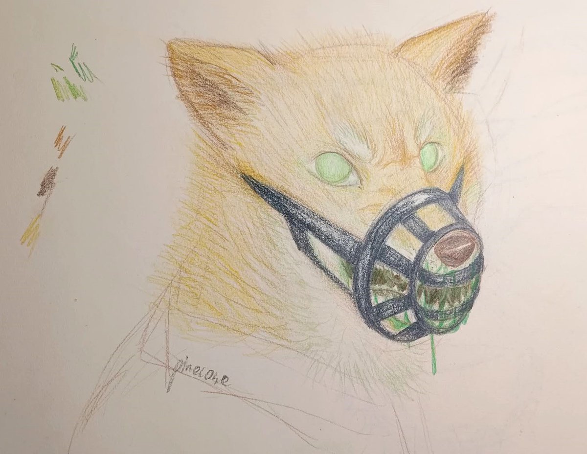 Pinecone 🍉 tweet media