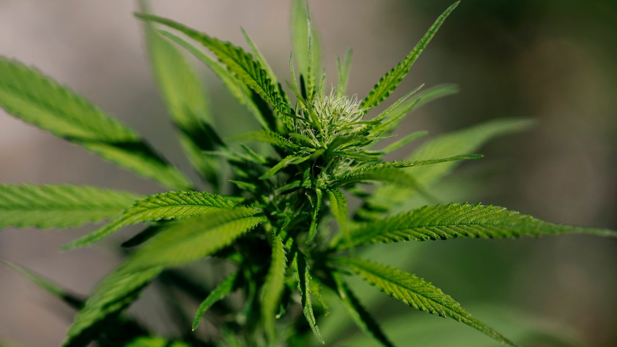 HoumaToday tweet media