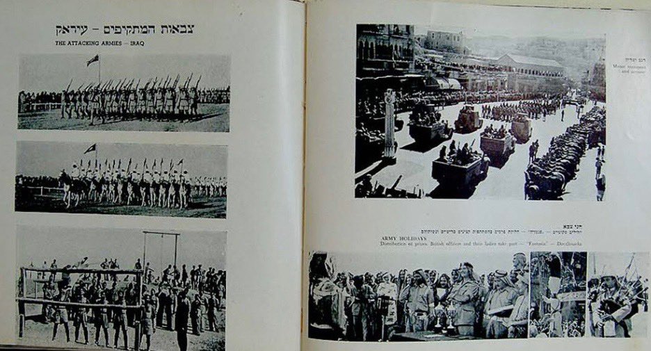 مشعاب tweet media