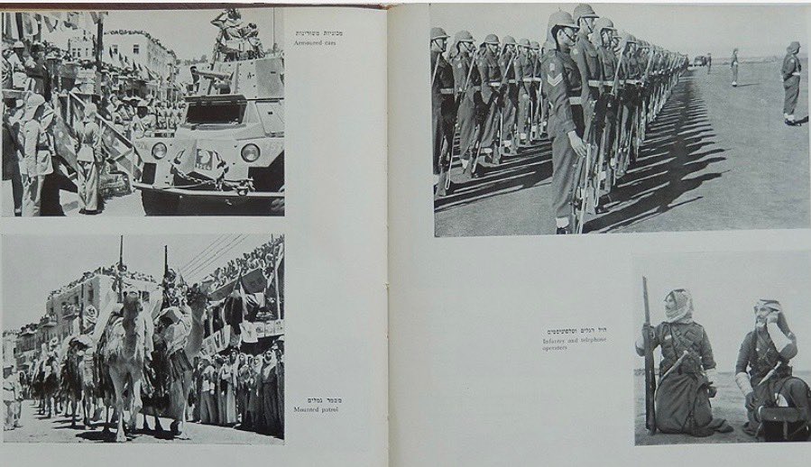 مشعاب tweet media