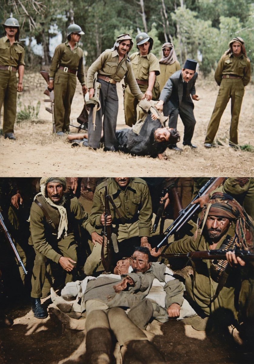 مشعاب tweet media