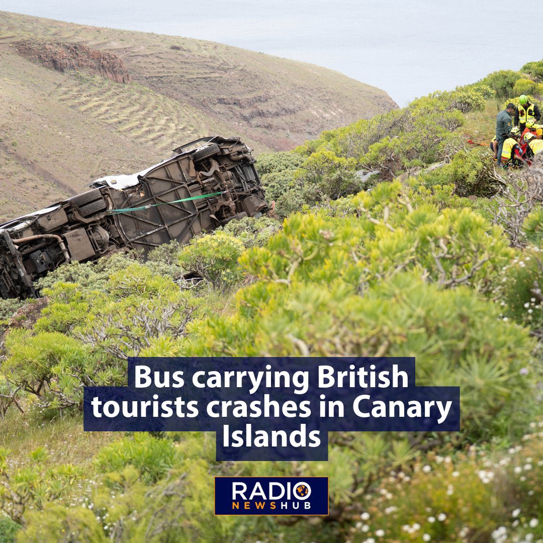 Global Network News 🌎 tweet media