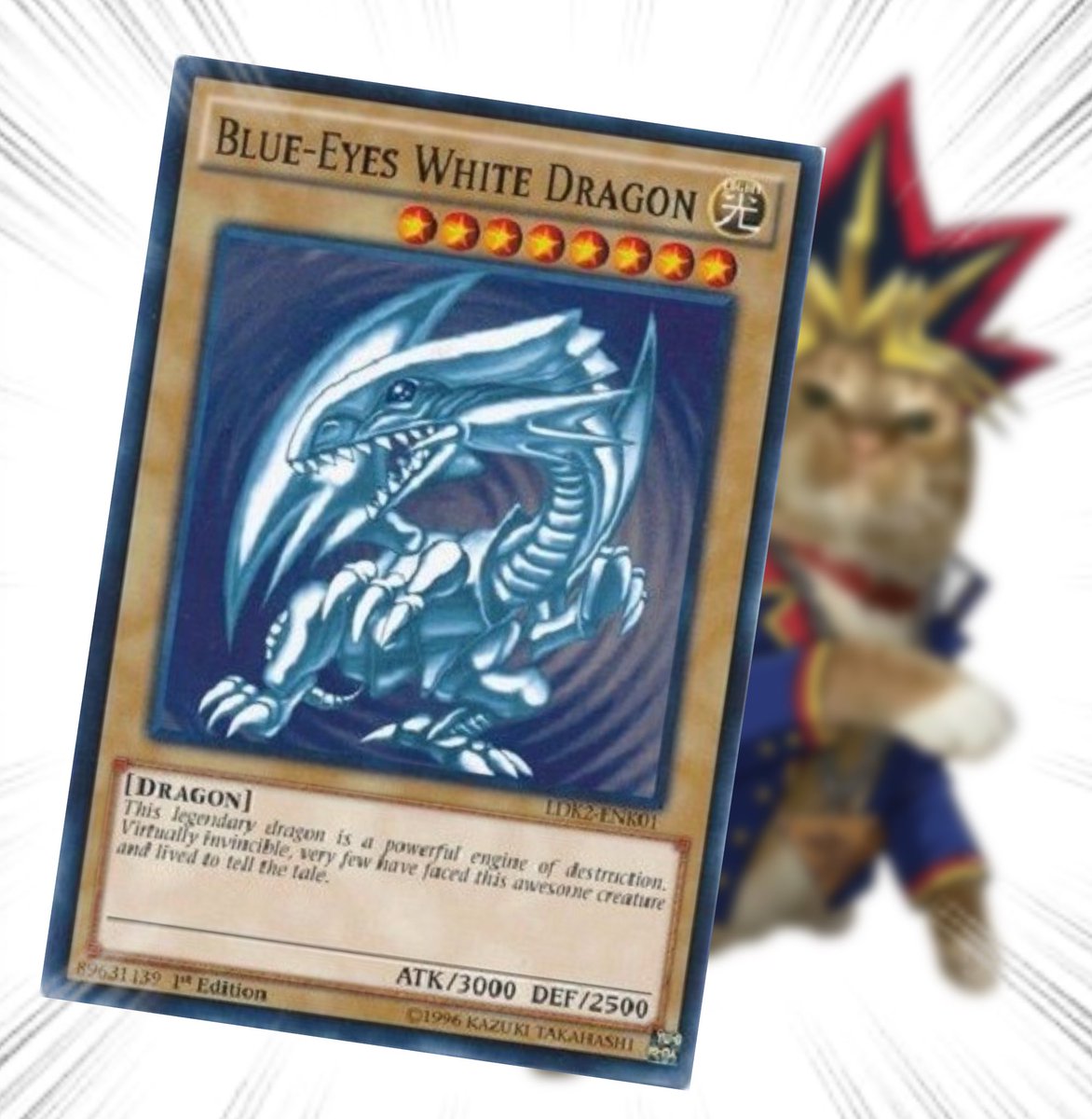 Throwing Things Daily tweet media