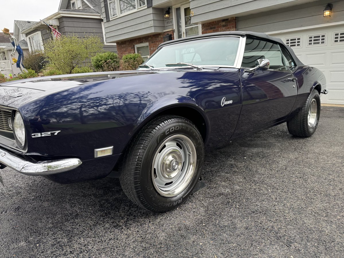 Gonzo Detailing tweet media