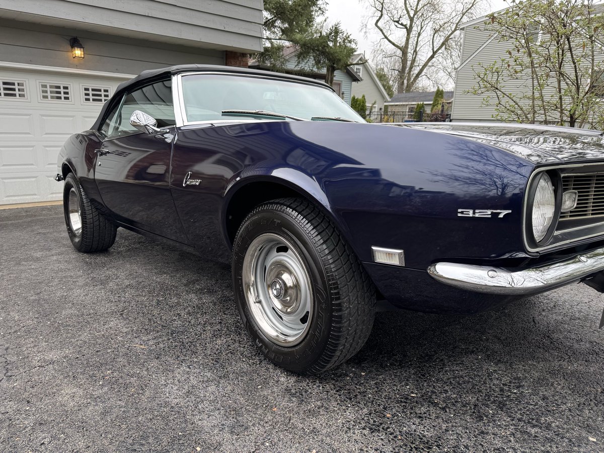 Gonzo Detailing tweet media