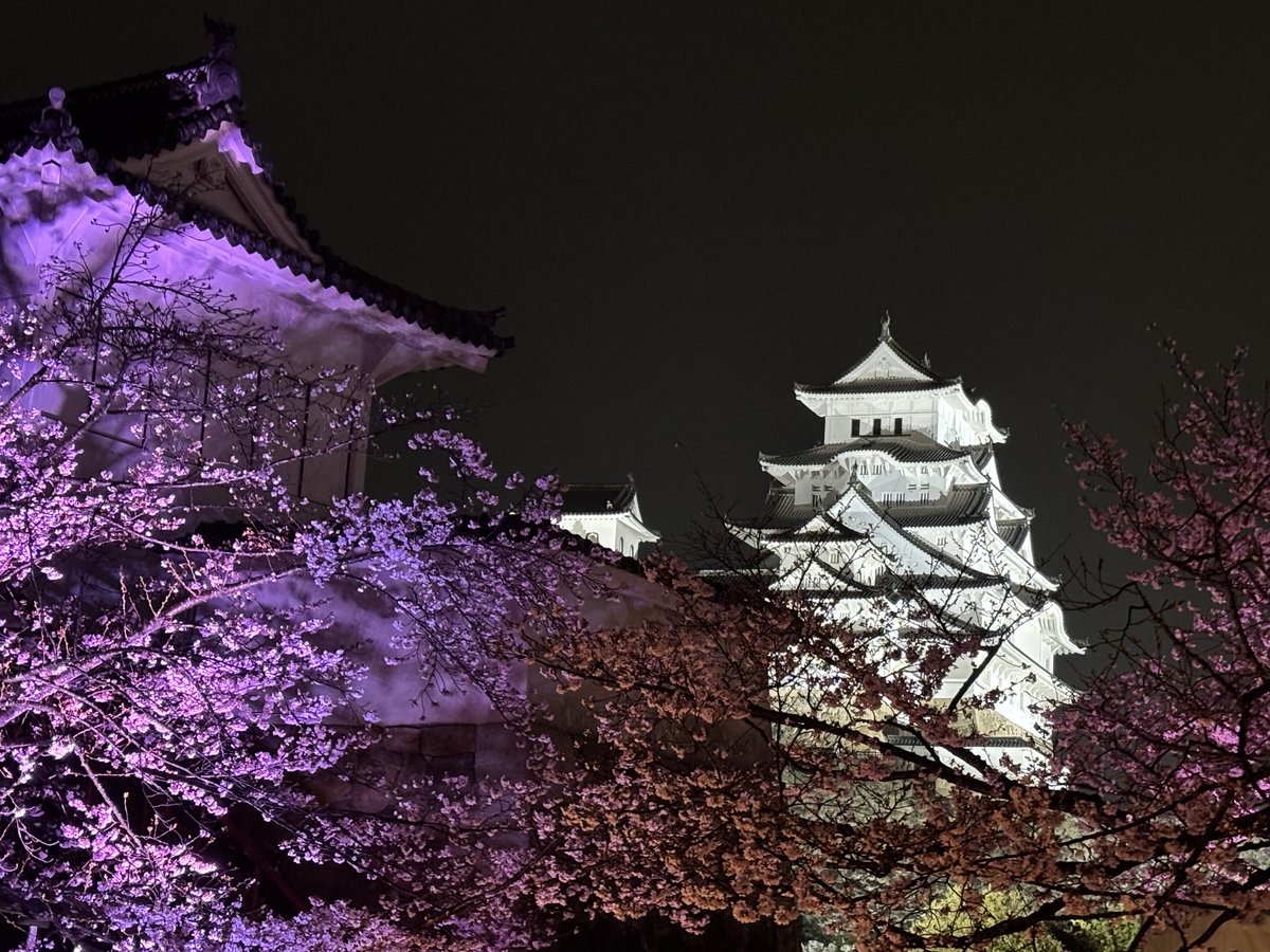 hane_drum's tweet photo. 桜の姫路城を旅のブログでまとめました🏯
お手隙の時にでも遊びに来てくださいね🙏

桜と姫路城の音とおNEWなパソコン | tenshinohane96 の”音楽はたべものです”
 https://t.co/FstfV9a9YD #Amebaブログ #アメブロ https://t.co/xL5y1cslRG