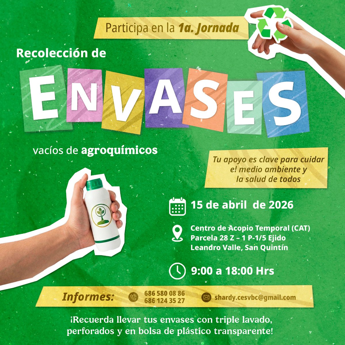SENASICA's tweet image. ¿Vives en Baja California? Participa en la Jornada de recuperación de envases vacíos de plaguicidas en San Quintín. ♻️

#Senasica #Plaguicidas #Envases