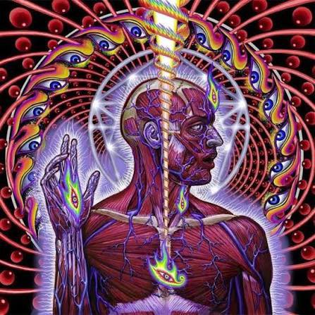 6guage's tweet photo. What I’m listening to rn. TooL: Parabola https://t.co/nfj2DSb71J