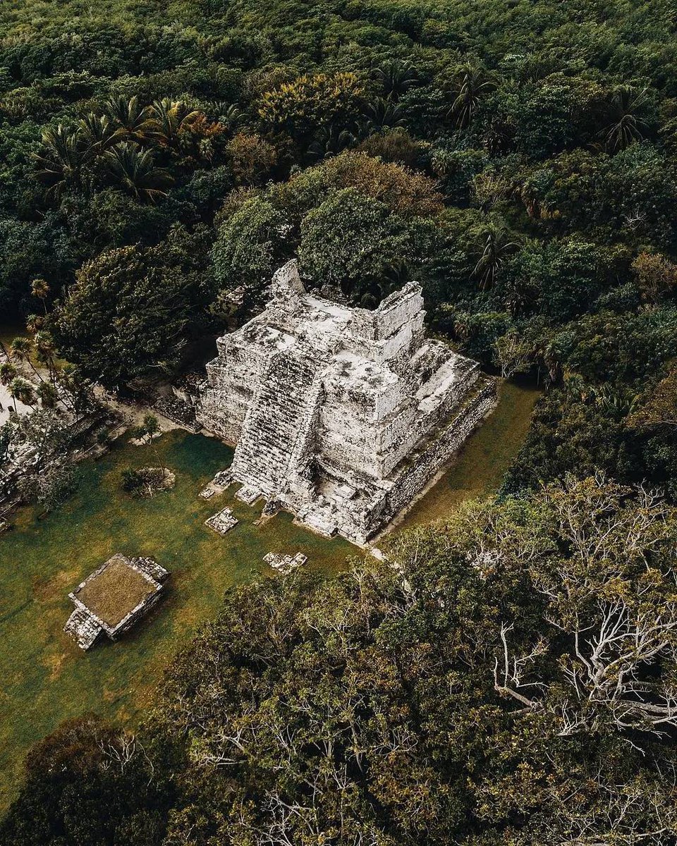 visitacaribemex's tweet photo. ⁣⁣¡Descubre los secretos de la cultura maya! 📜

Rumbo a #CostaMujeres podrás apreciar una pequeña pero muy importante zona arqueológica, la cual vale la pena recorrer. 🍃

Si ya conoces #ElMeco, dale 💙

IG: emivalenciad

#CaribeMexicano #CapitalMundialDeLasVacaciones⁣⁣⁣⁣ https://t.co/f0dvewt6An
