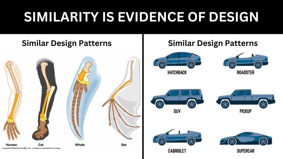 Divinely Designed tweet media