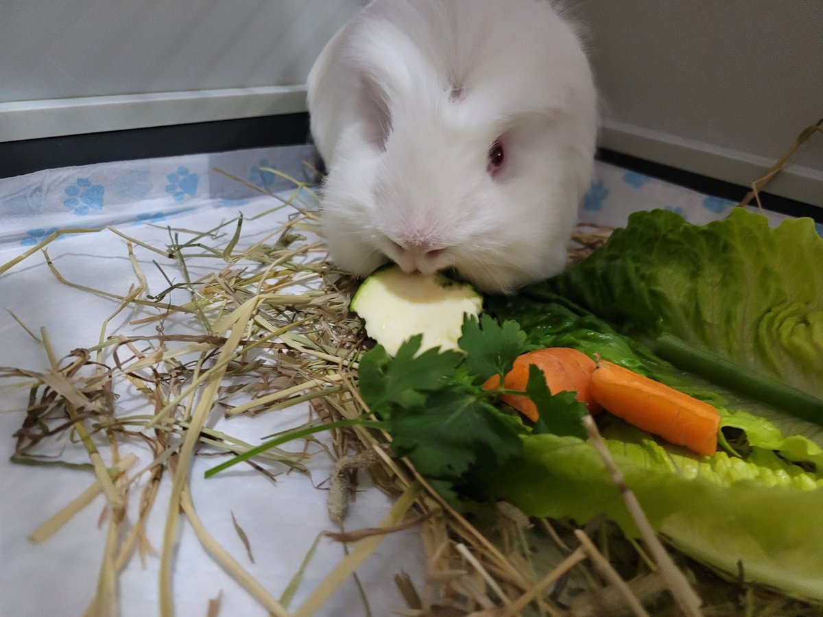 Barry Howells tweet media