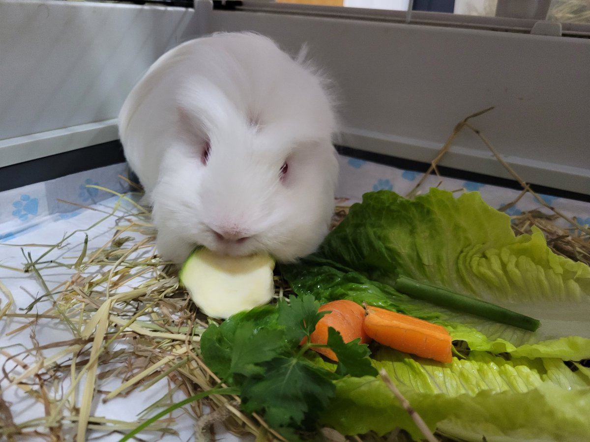 Barry Howells tweet media