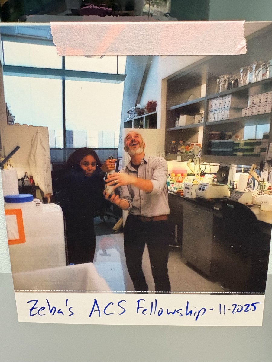 Zeba Rizvi tweet media