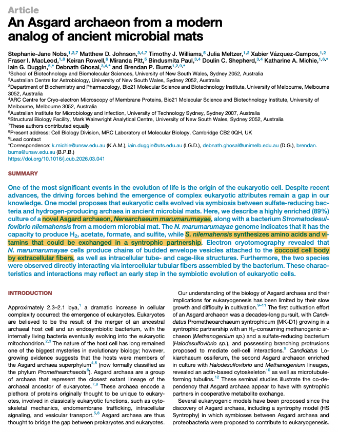 Niko McCarty. tweet media