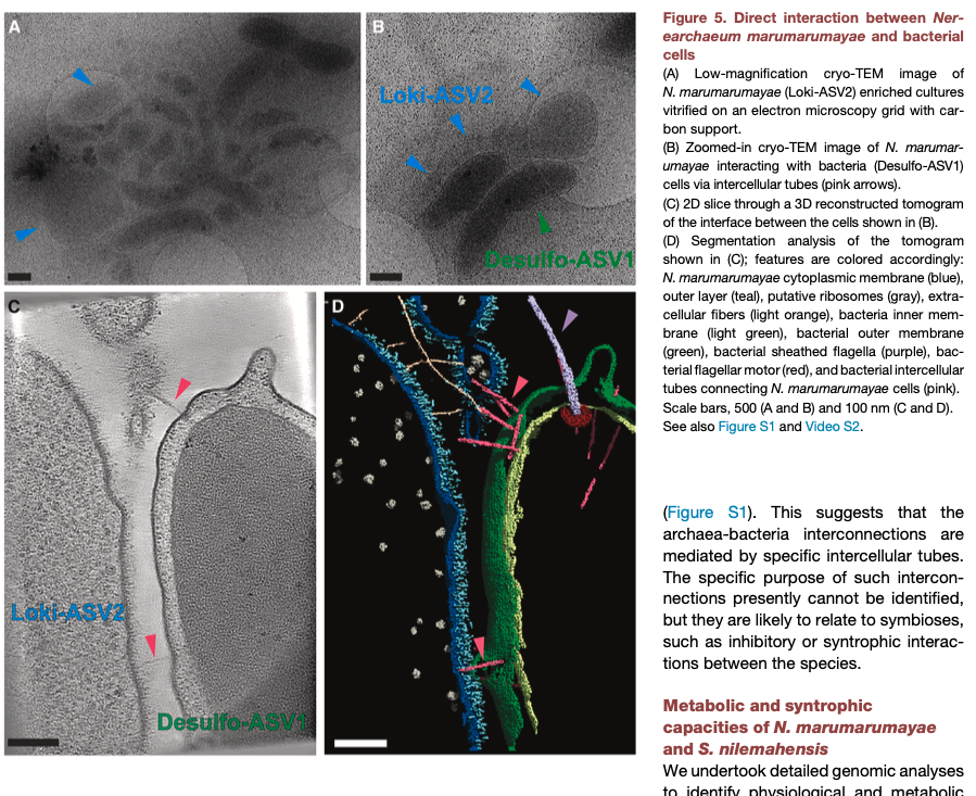 Niko McCarty. tweet media