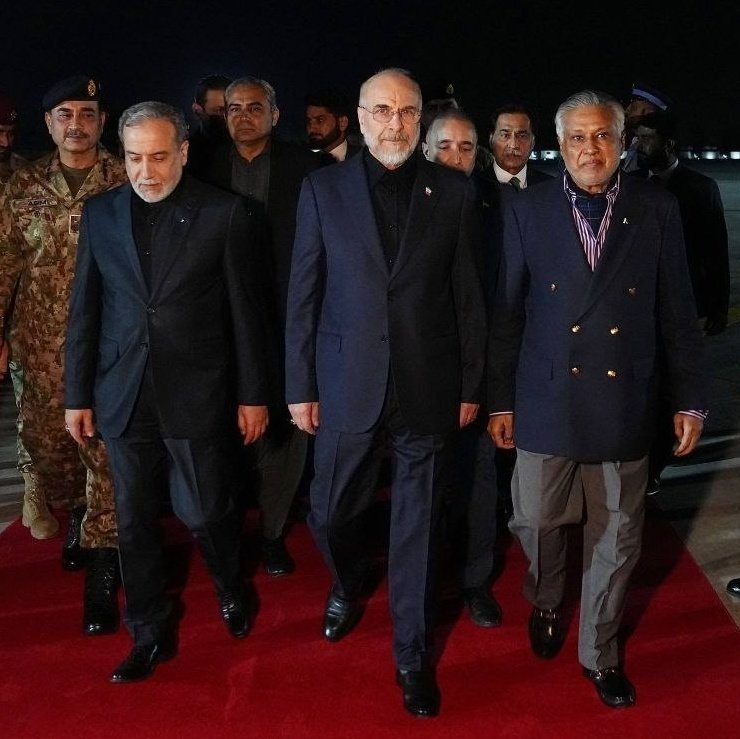 موژی tweet media