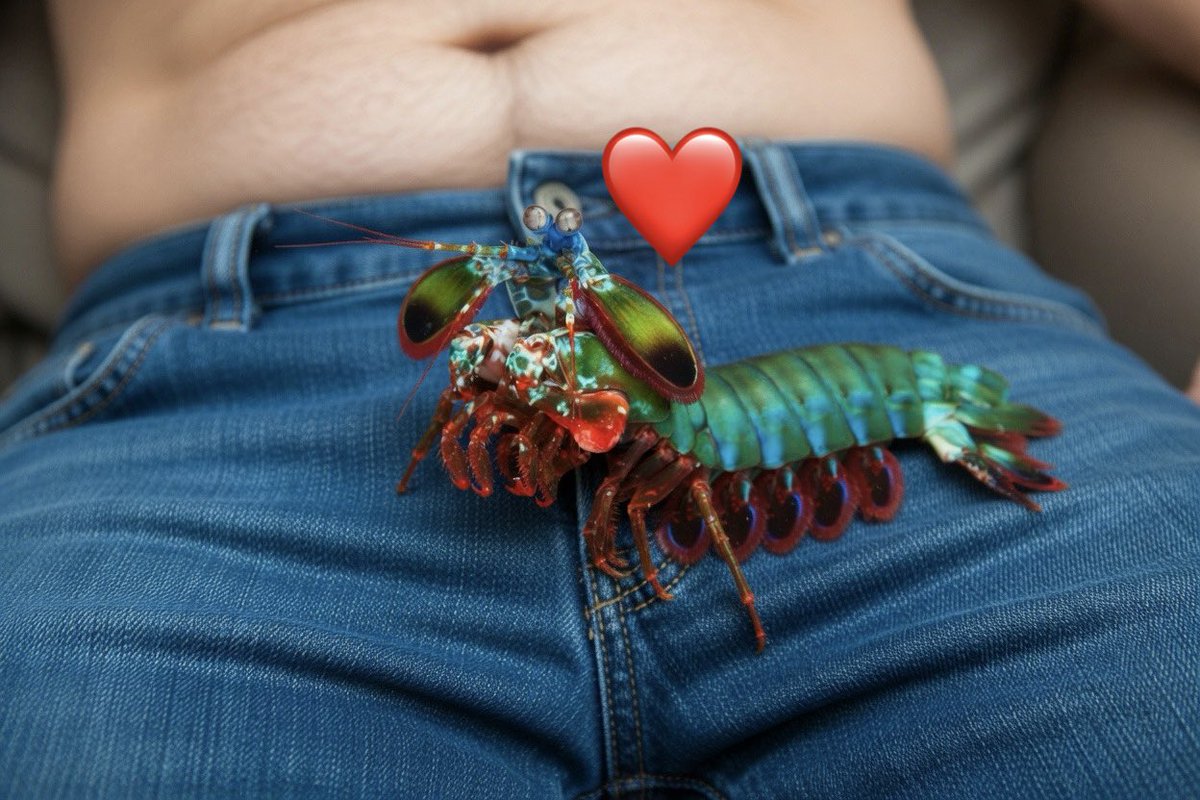 🇯🇵ブチギレ🇯🇵 tweet media