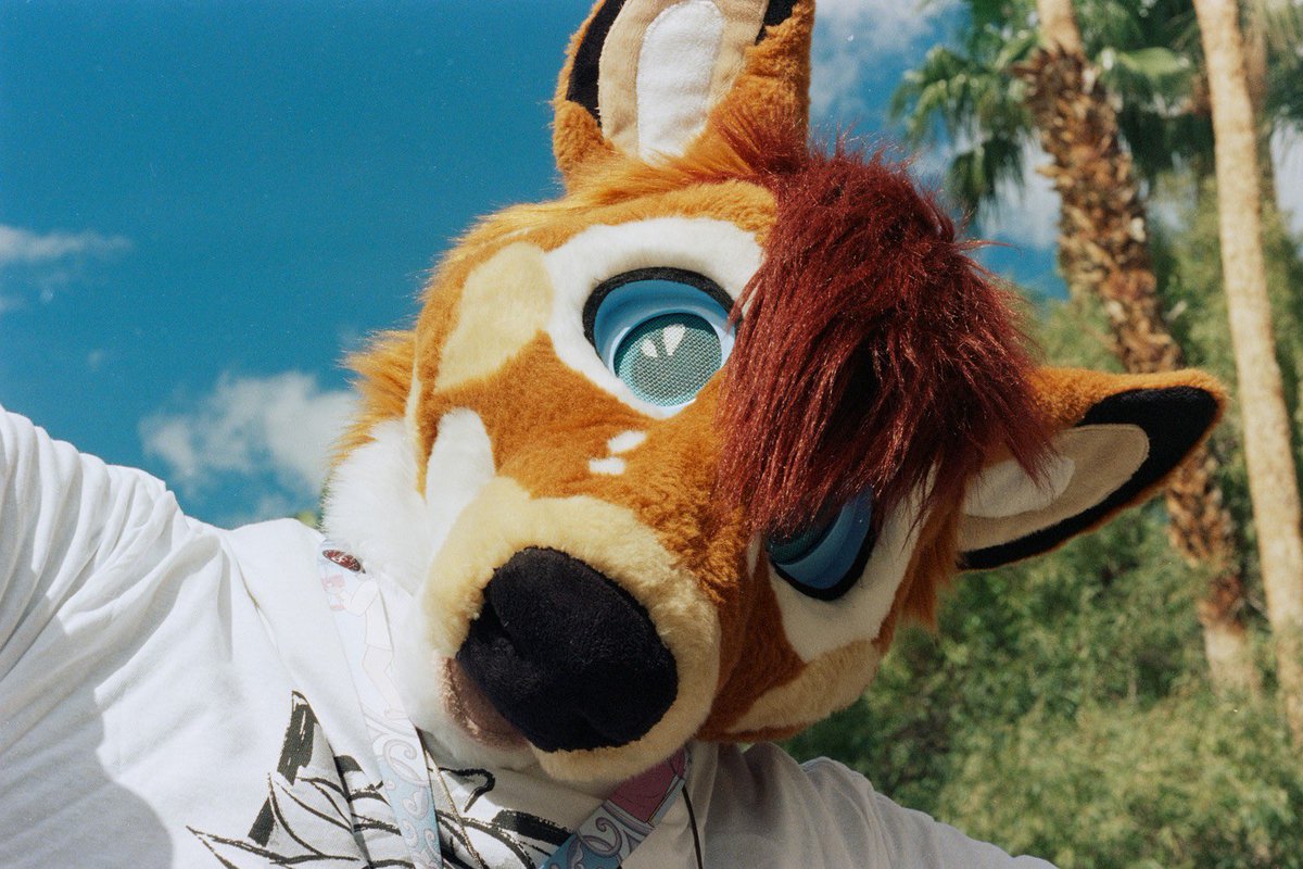 Robin Wood (Somaro) tweet media