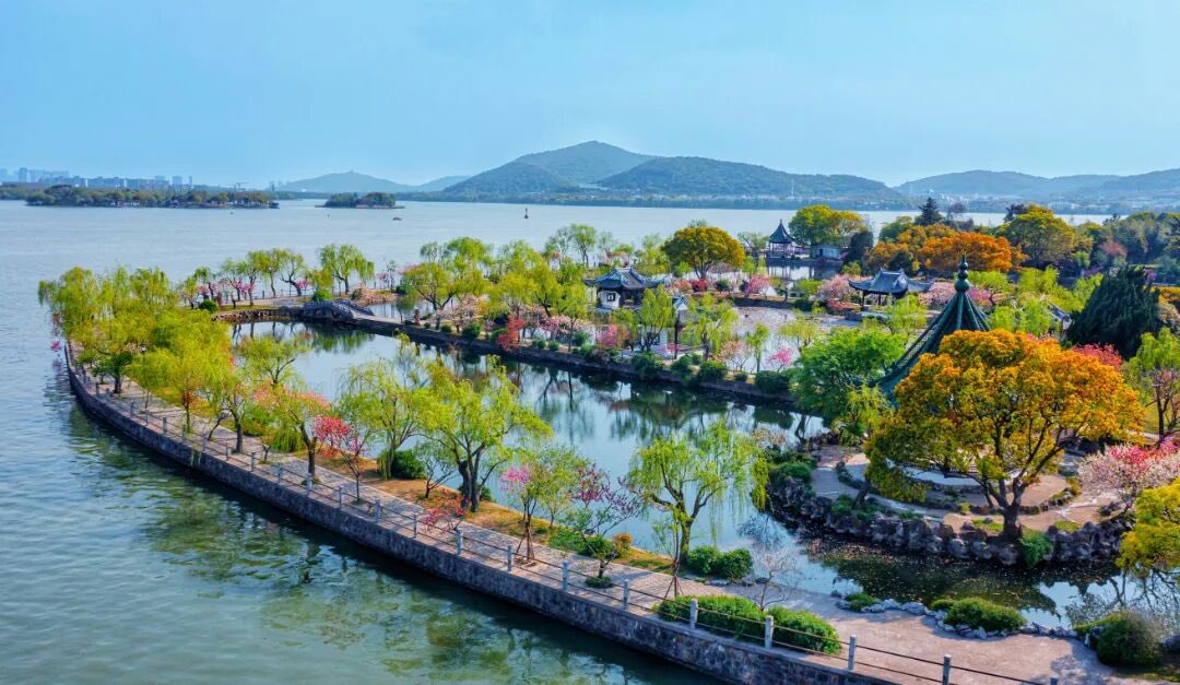 Happy20462's tweet photo. 蠡园从来不负春…… https://t.co/MH5jHTlHZj