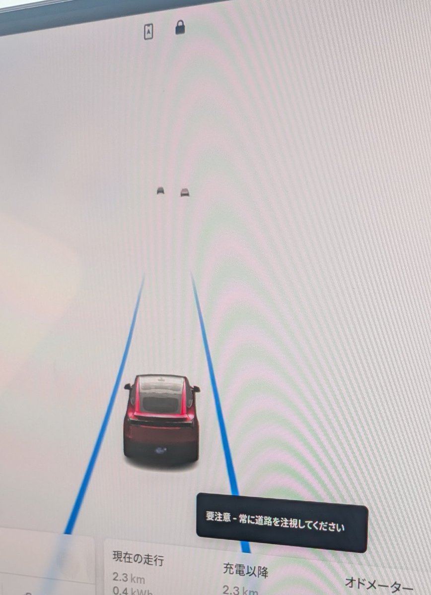 ルナテス@新型モデルY✨ tweet media