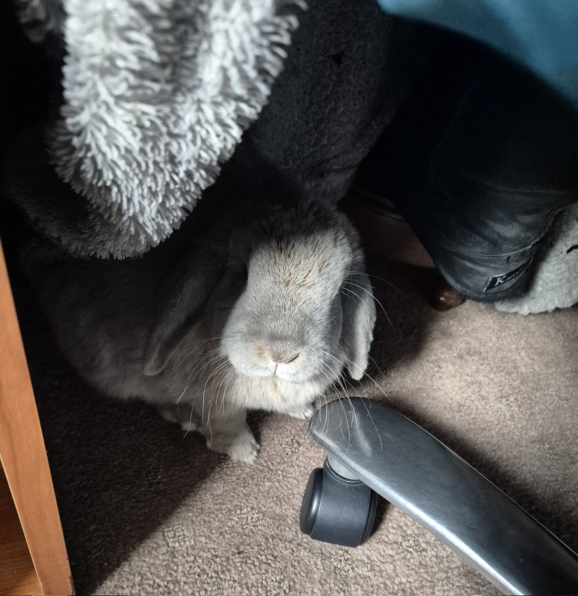 Bleak Optimism tweet media