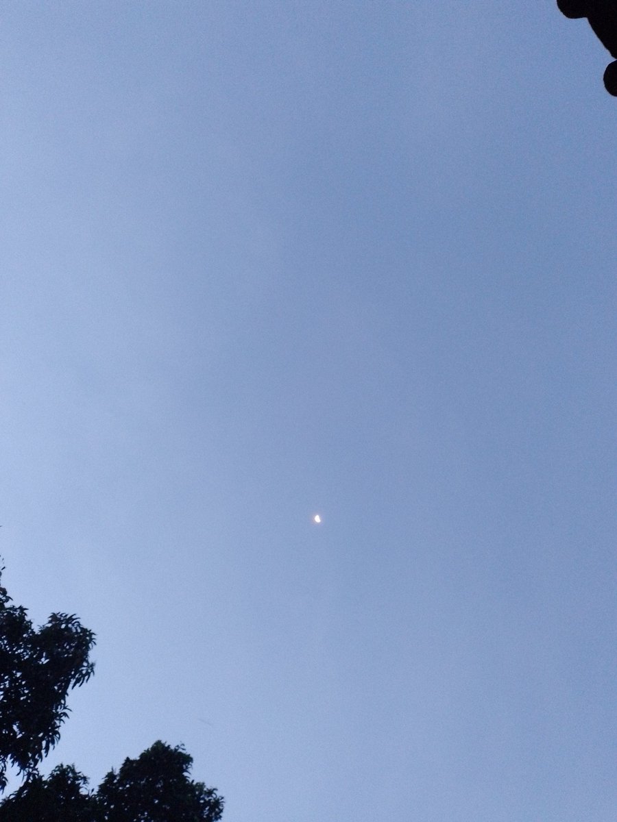 Haidar💯 tweet media