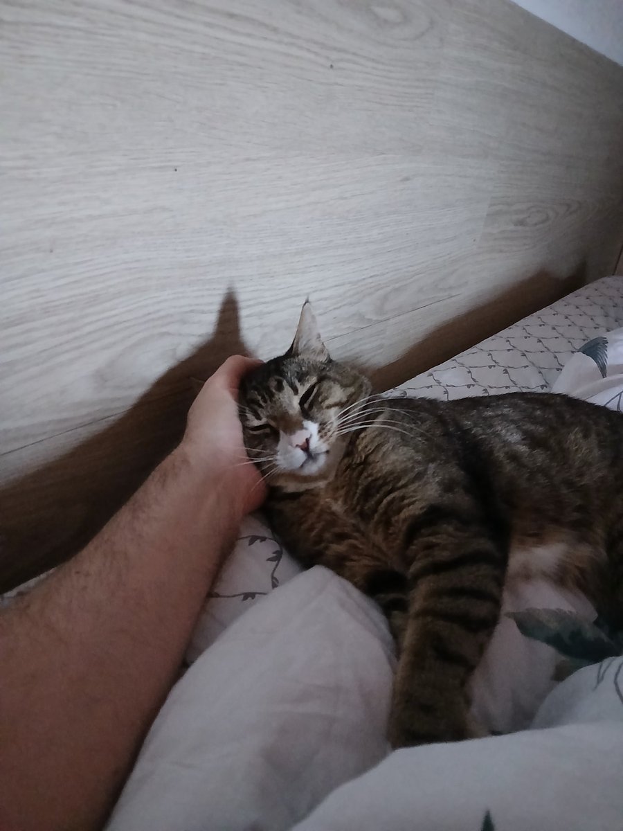 Бессловесный манкурт tweet media