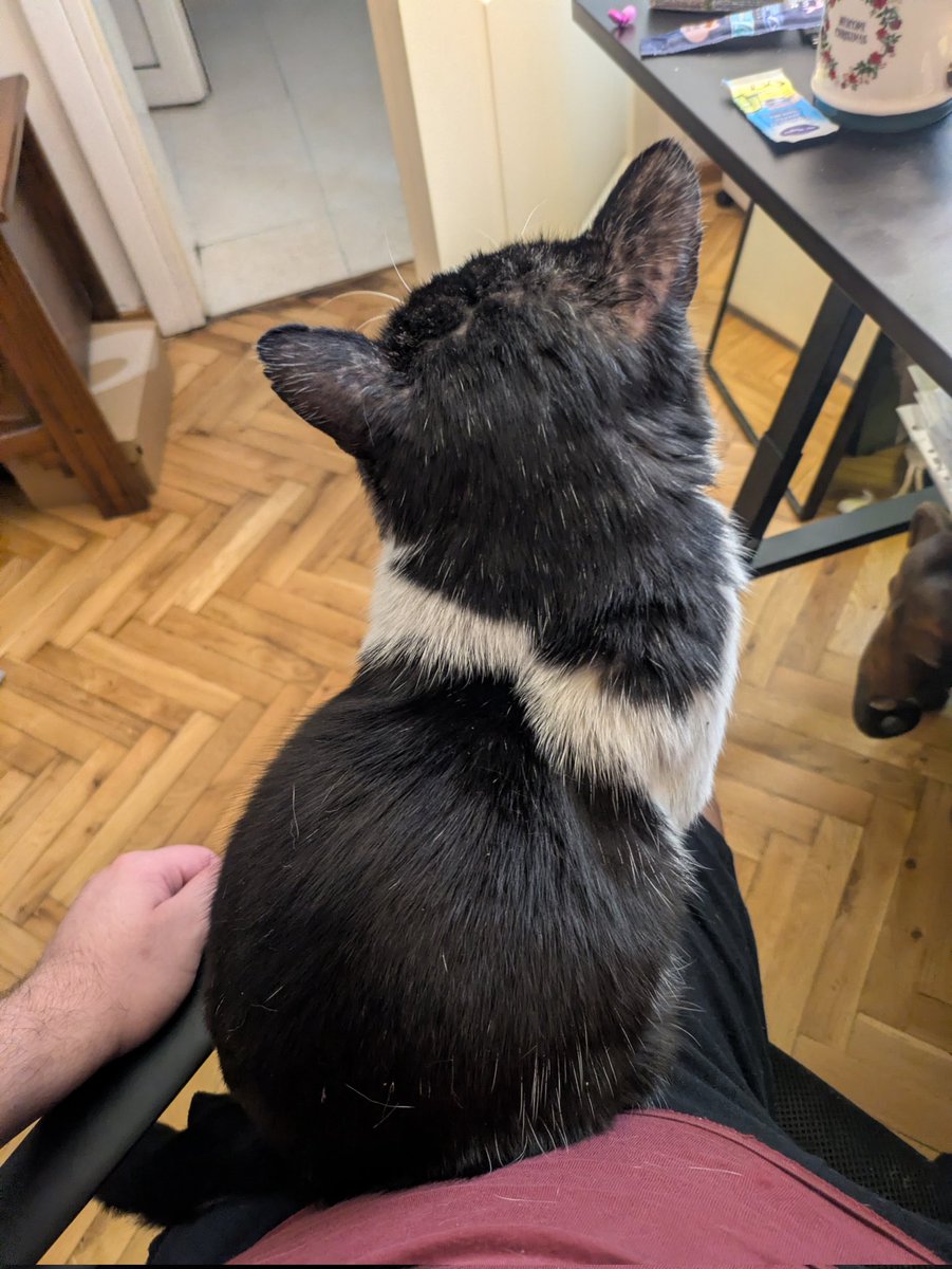 Nikita Akilov tweet media